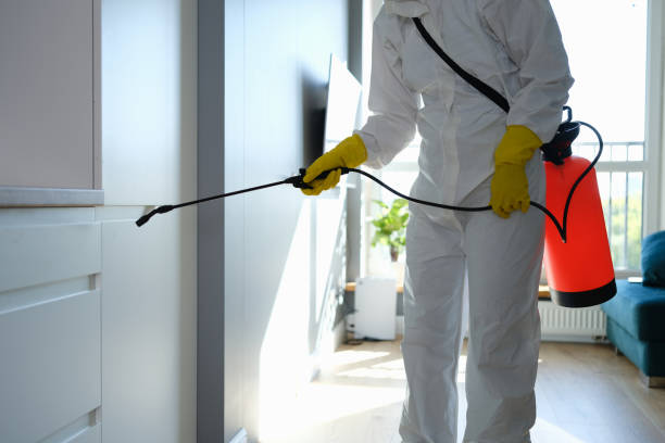 Best Mold Cleaning Services  in Bright, IN