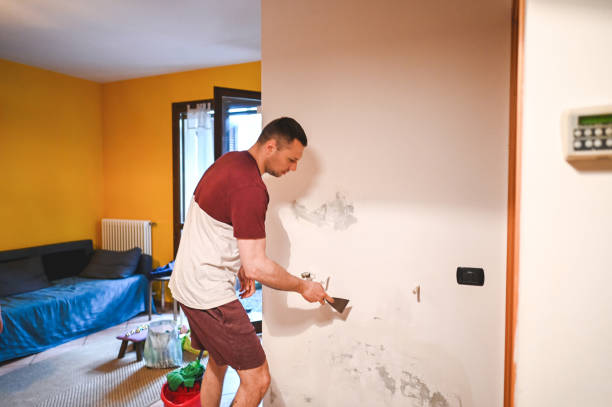 Best Black Mold Removal  in Bright, IN